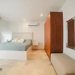 Virrey Eslava 120 Inside The Walled City, Pool, Jacuzzi & Near The Sea